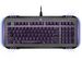 newegg