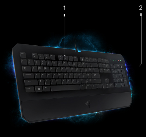 DeathStalker