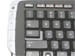 newegg