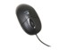 newegg