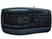 newegg