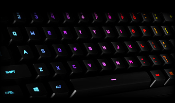 image for this item