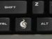 newegg