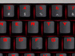 newegg