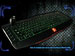 newegg
