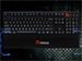 newegg