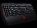 newegg