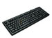 newegg