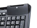 newegg