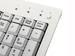 newegg