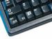 newegg