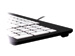 newegg