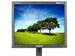 newegg