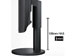 newegg