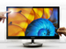 newegg