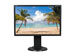 newegg
