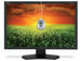 newegg