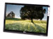 newegg