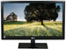 newegg