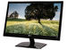 newegg