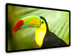 newegg