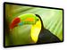 newegg
