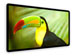 newegg