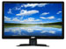 newegg