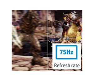 75Hz