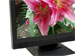 newegg