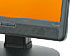 newegg