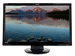 newegg