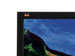 newegg