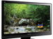 newegg