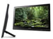 newegg