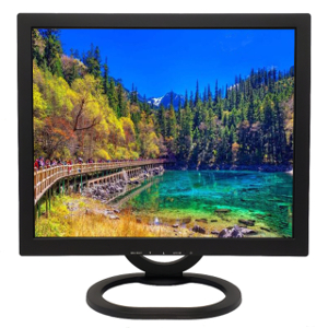 LCD Video Monitor V191HV2 Facing Forward Showing a Screenfill of a Forest Lakeside