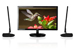 newegg