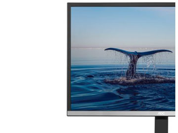 image for this item