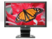 newegg