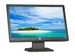newegg