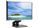newegg