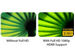 newegg