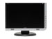 newegg