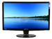newegg