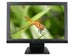 newegg