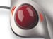 newegg