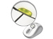 newegg