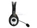 newegg