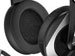 newegg