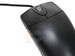 newegg
